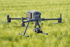 Drohne im Gras Drohne im Gras